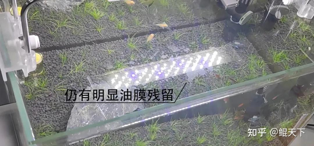 这个鱼缸表面有油膜一样的东西白的感觉像菌落是什么啊