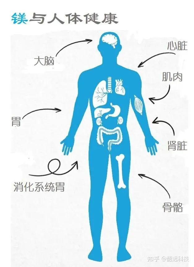 奇妙的化学元素 | 轻型金属--镁 - 知乎