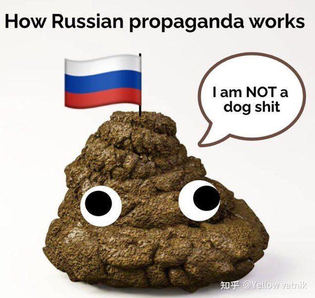 注册 媒体 新闻 政治 俄罗斯 俄罗斯rt渗透内地培植黄俄精苏小粉红