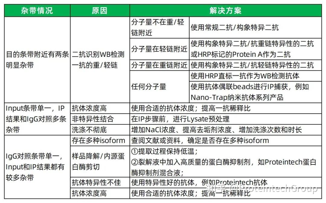 为什么IP/Co-IP结果中有明显杂带?这份自查指南请收好 - 知乎