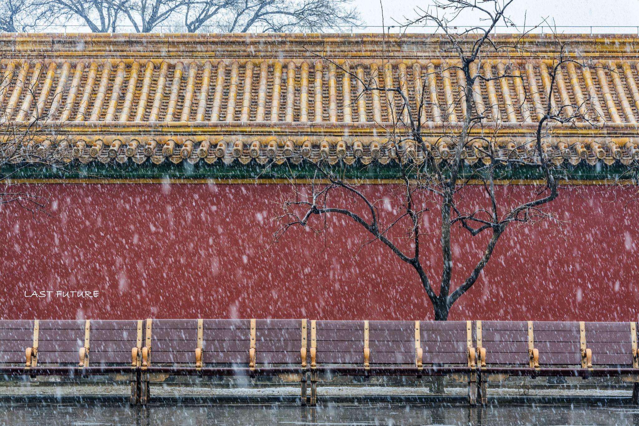 下雪故宫壁纸图片