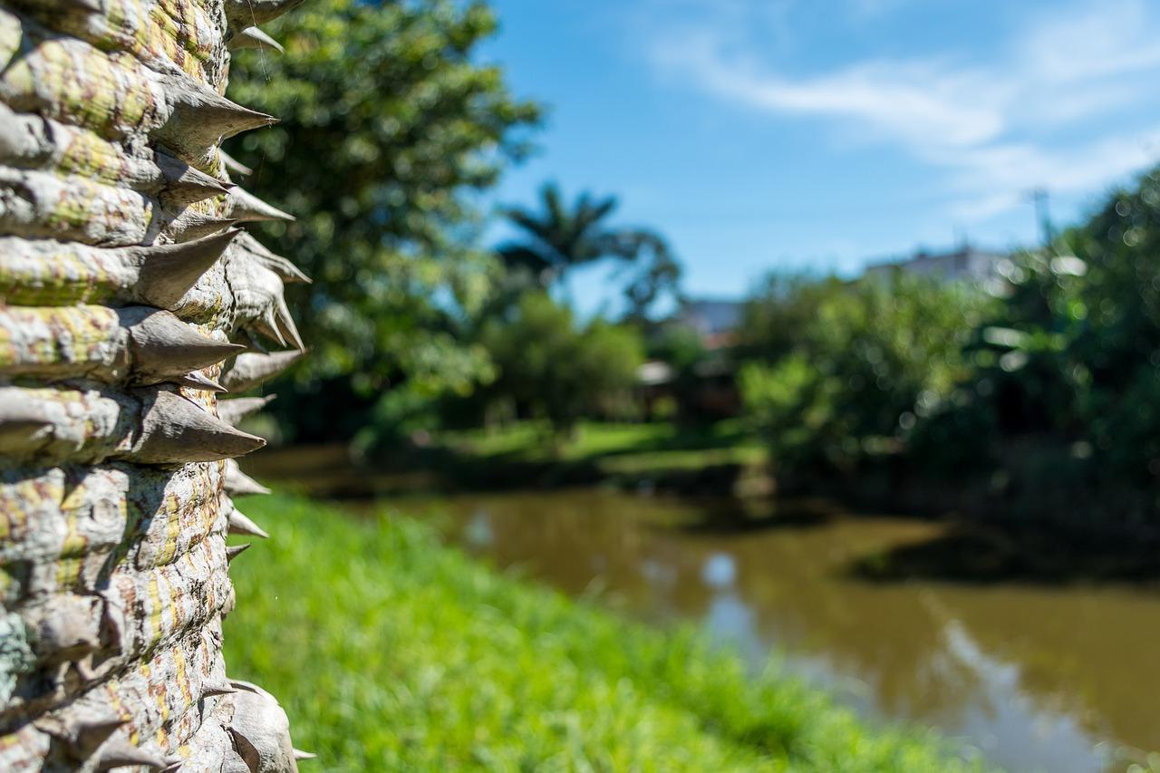 2. 小院生活体验