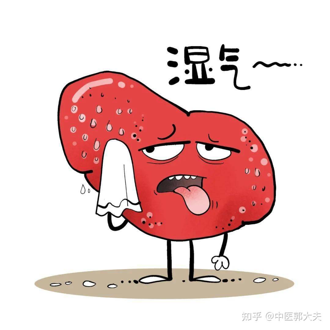 湿气大,越补越上火?上午参苓白术丸,下午金匮肾气丸,湿气全无 - 知乎