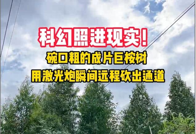 新科技助力电力线路施工:激光炮砍树,安全高效!