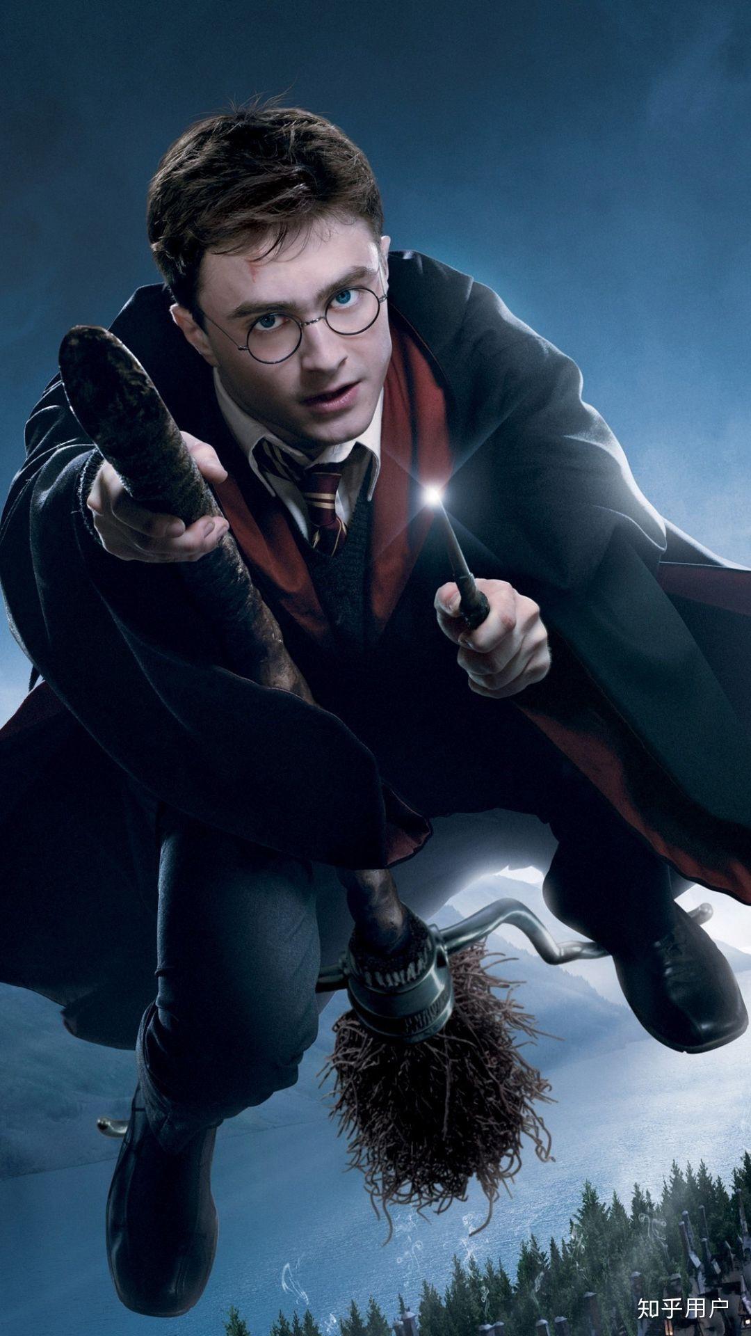 如何评价哈利波特的发型? - 知乎