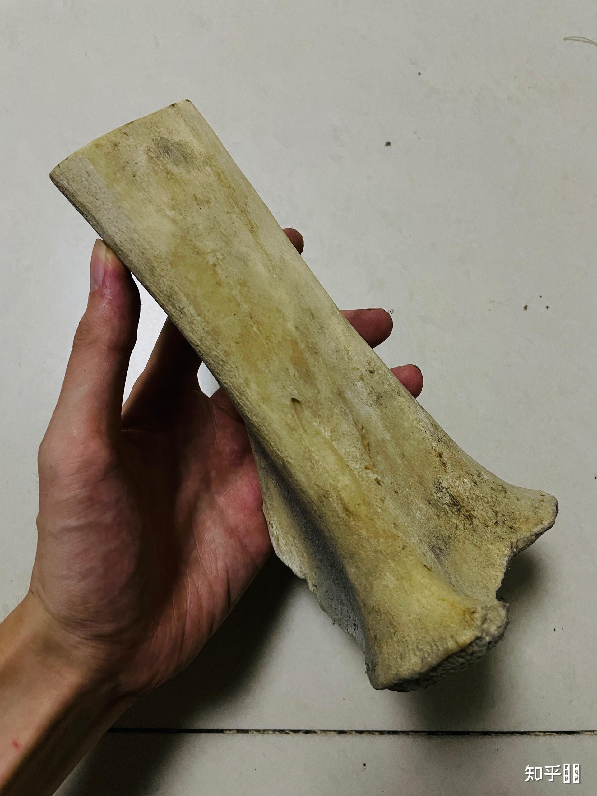 可以推荐一些钢笔笔搁和单只笔套吗?