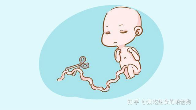 双角子宫对女性有哪些危害？会影响试管婴儿助孕吗？ - 知乎