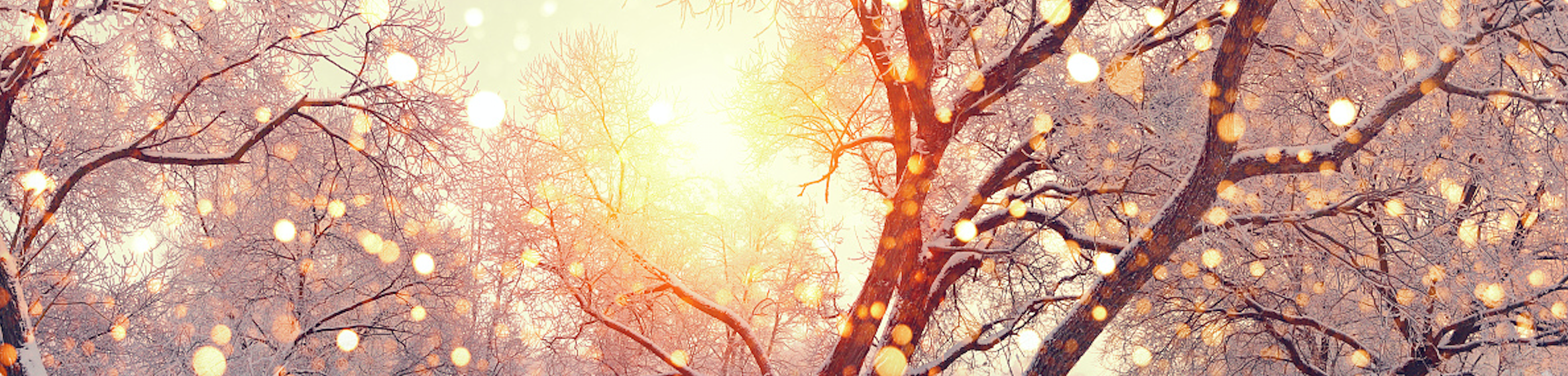 Zhihu banner for @peach
