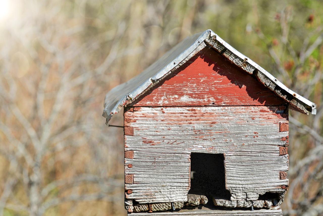 4. 长高算法优化