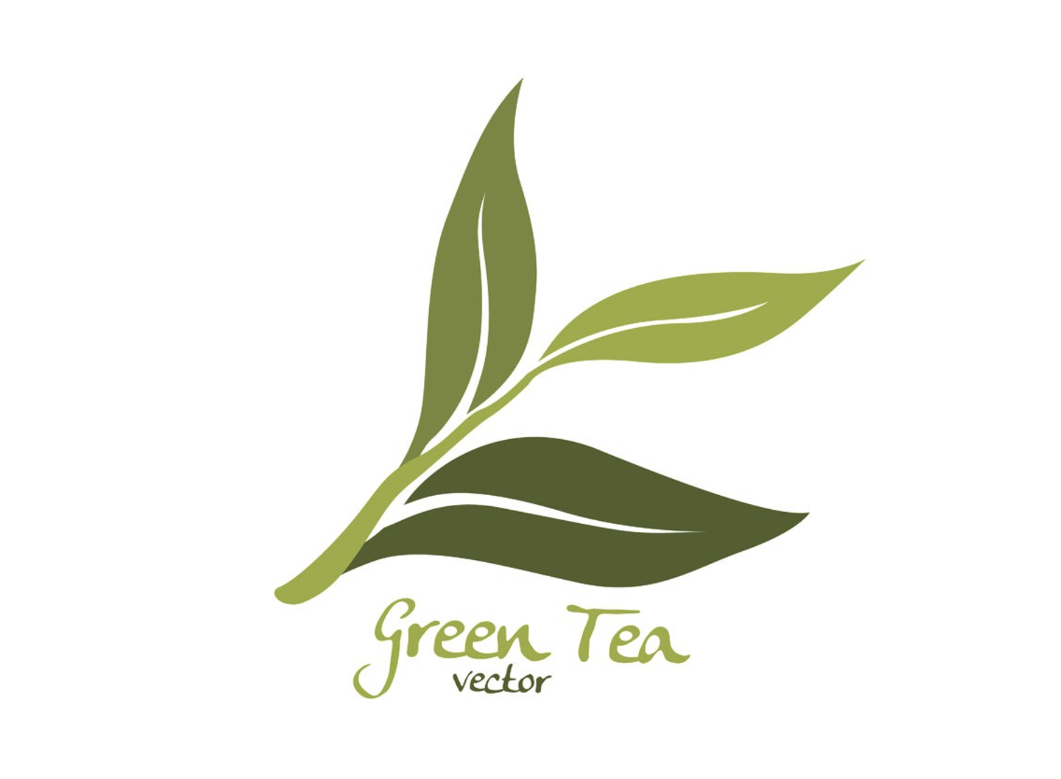 设计茶logo的思路? 