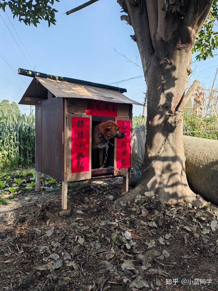 人，可以废物到什么程度？
