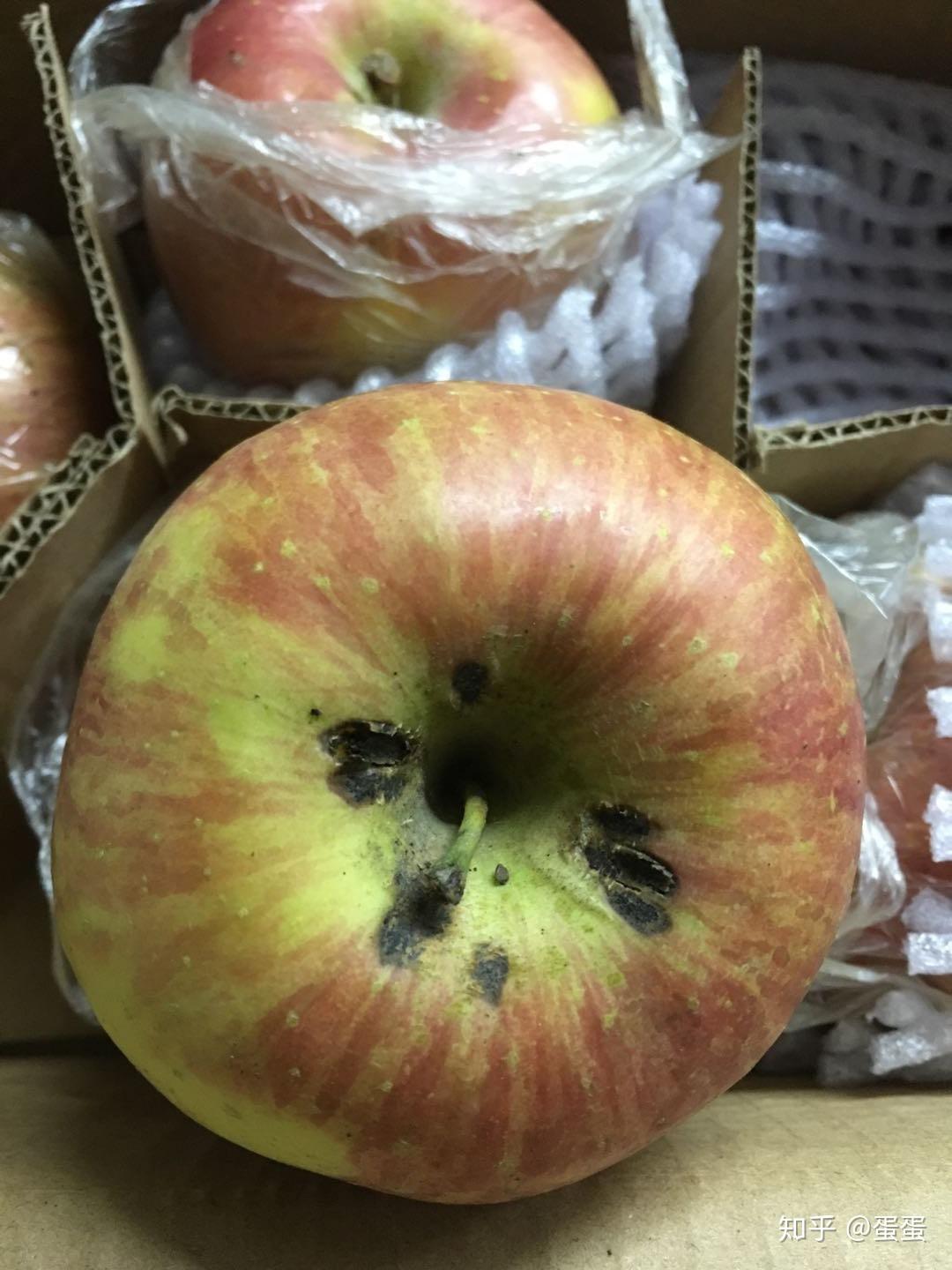 淘宝的芭芭农场兑换的水果是烂的,客服不回复,太垃圾了!怎么投诉?