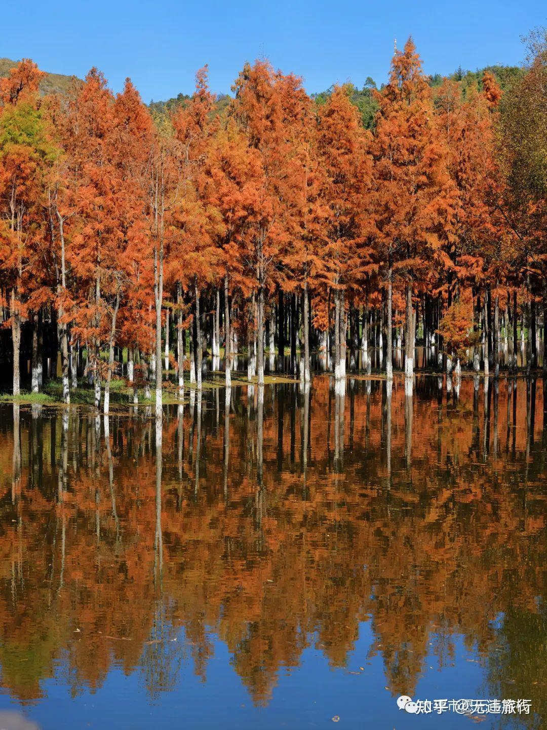 大理洱源县有哪些景色宜人的景点? - 知乎