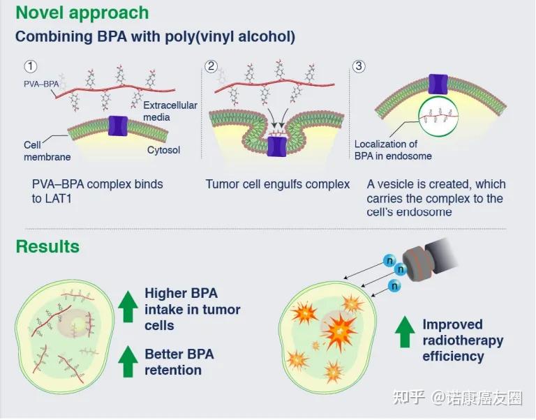 真正免费的bnct硼中子治疗"临床项目来了,头颈部和鼻咽癌优先获益!