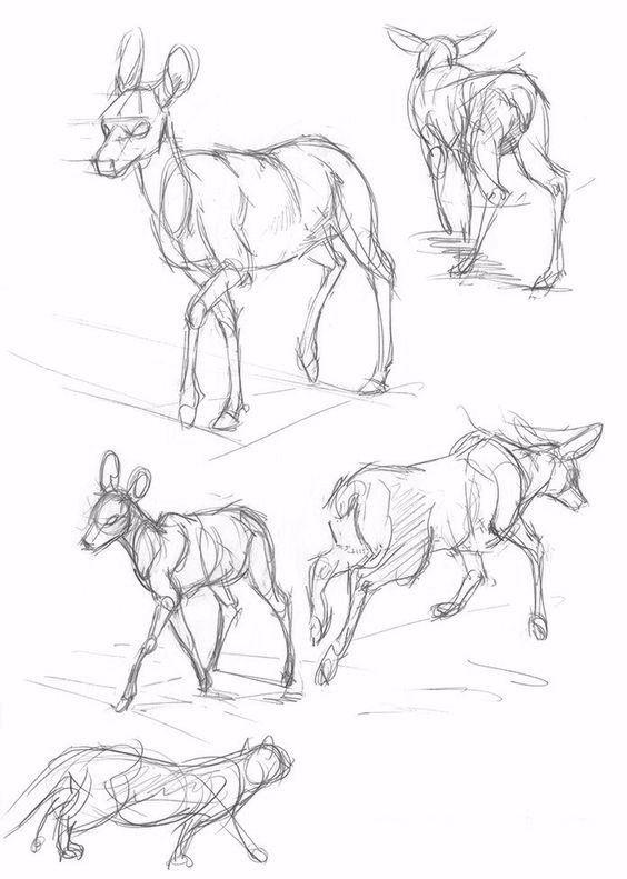 零基础学画画:2000个简笔画,快来收藏 - 知乎