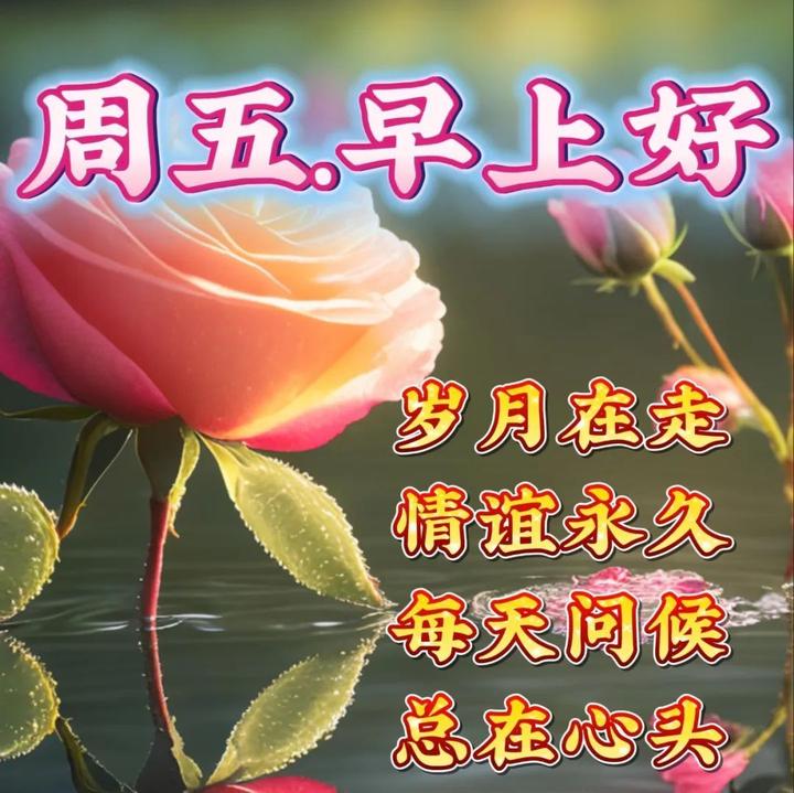 2023年7月28日周五早上好，早安祝福语图片 - 知乎