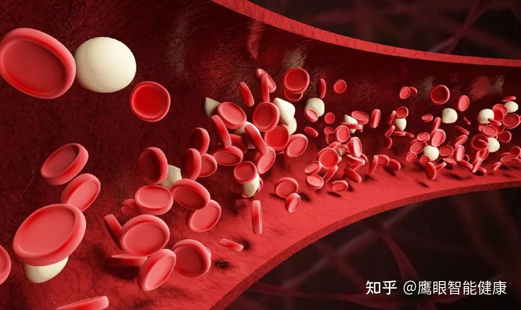 中医基础|中医老讲的气、血、津液之间有什么关系? - 知乎