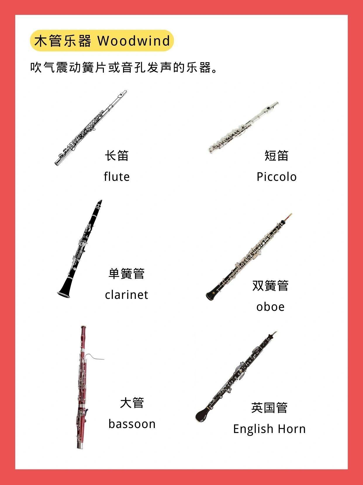 认识管弦乐器的中文和英文名称，全网最全，赶紧收藏起来吧～ - 知乎
