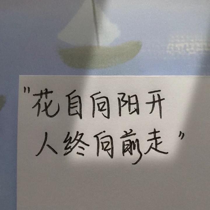 pin-on-quotes