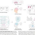 清华全球首颗片上学习忆阻器存算一体芯片,成果登上Science - 知乎