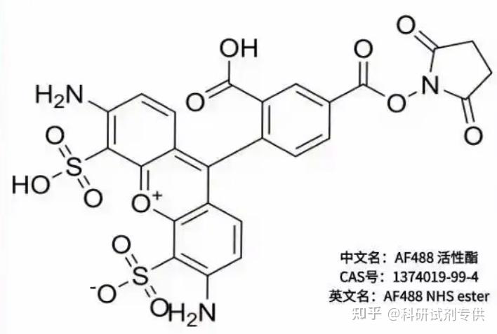 AF488 NHS，1374019-99-4，一种高性能的荧光标记试剂 - 知乎
