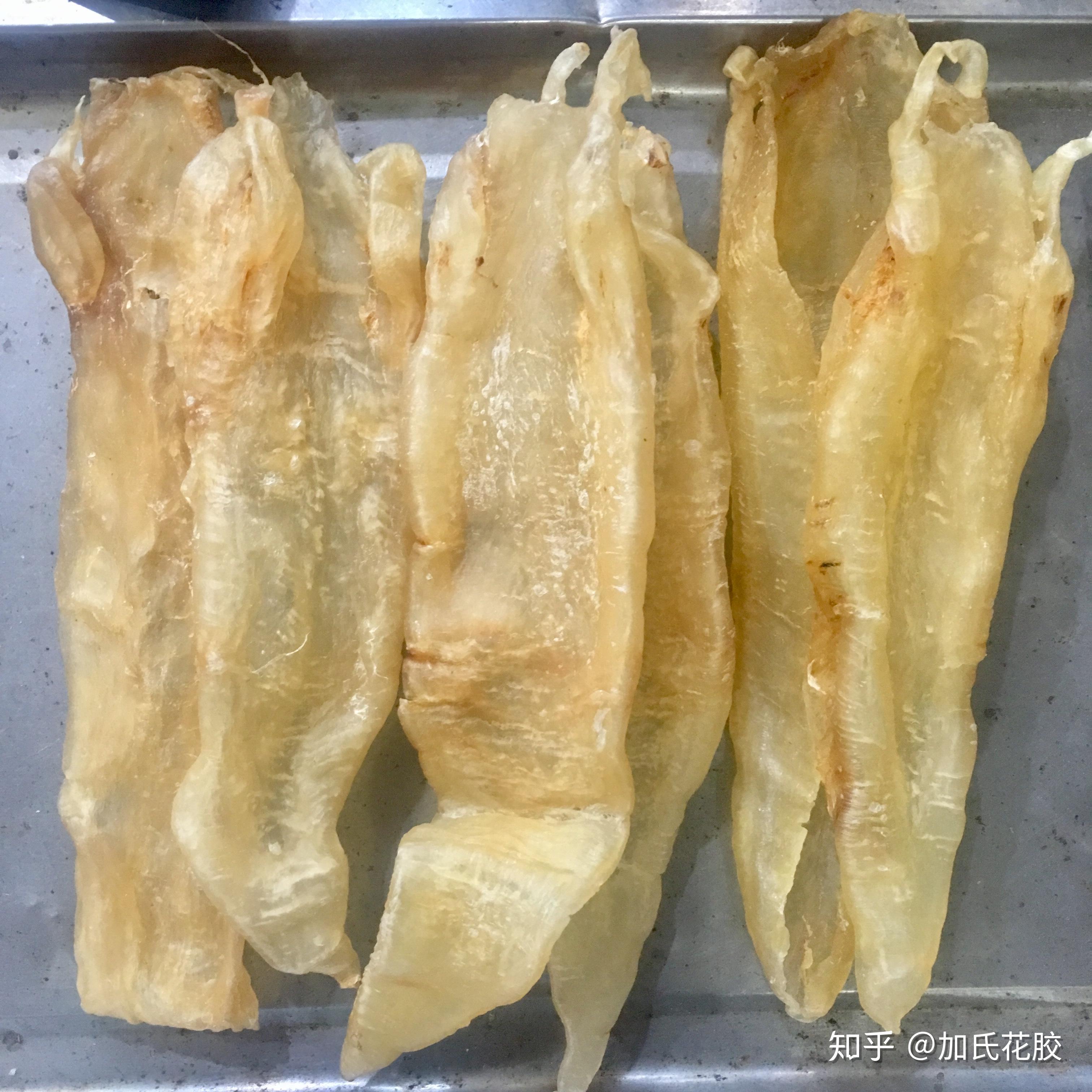 花胶怎样吃最好?吃花胶要注意些什么? - 知乎