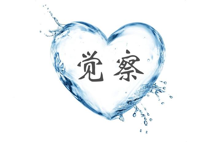 关于觉察力 | 苏格拉底:未经省察的人生不值得过