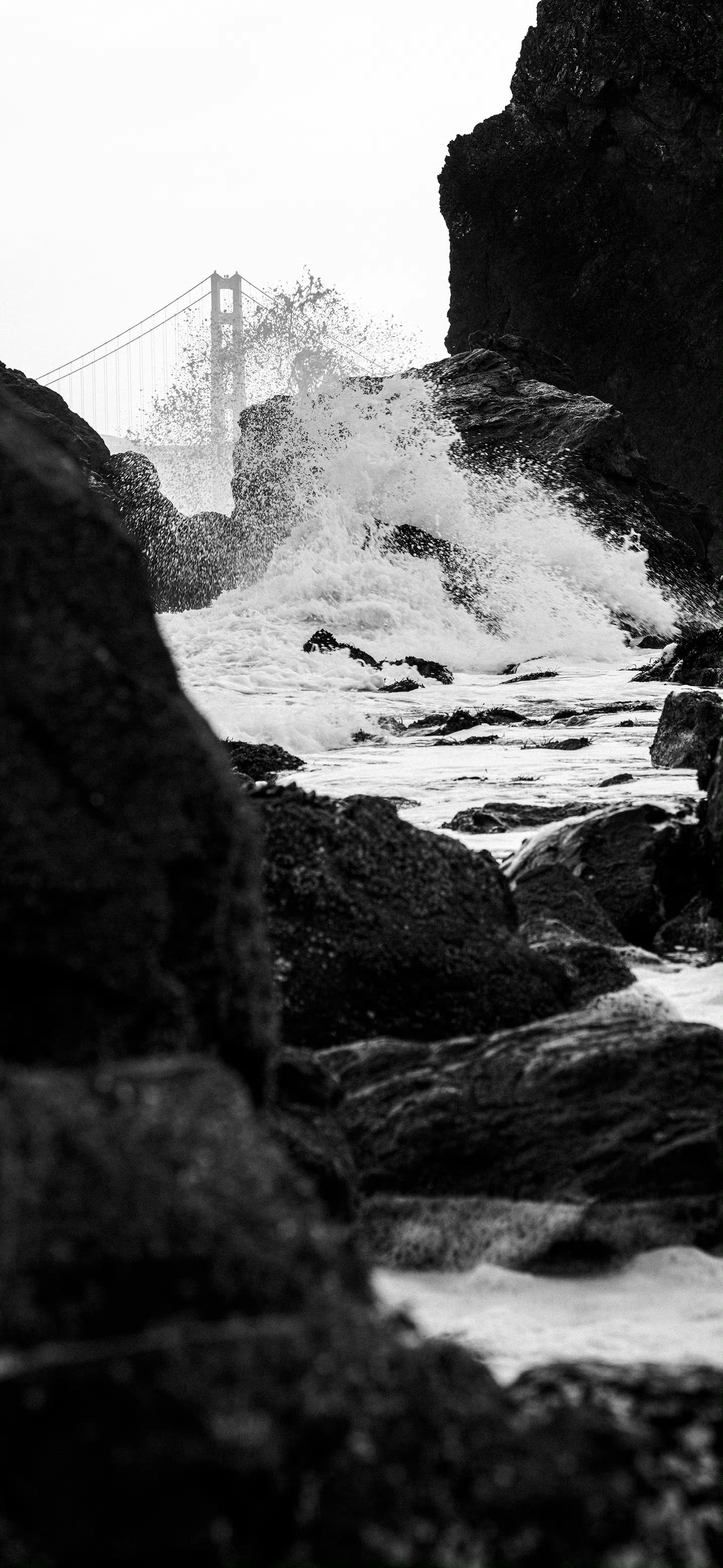 有没有那种黑白灰色调的手机壁纸?