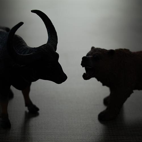 穿越牛熊是否只是传说