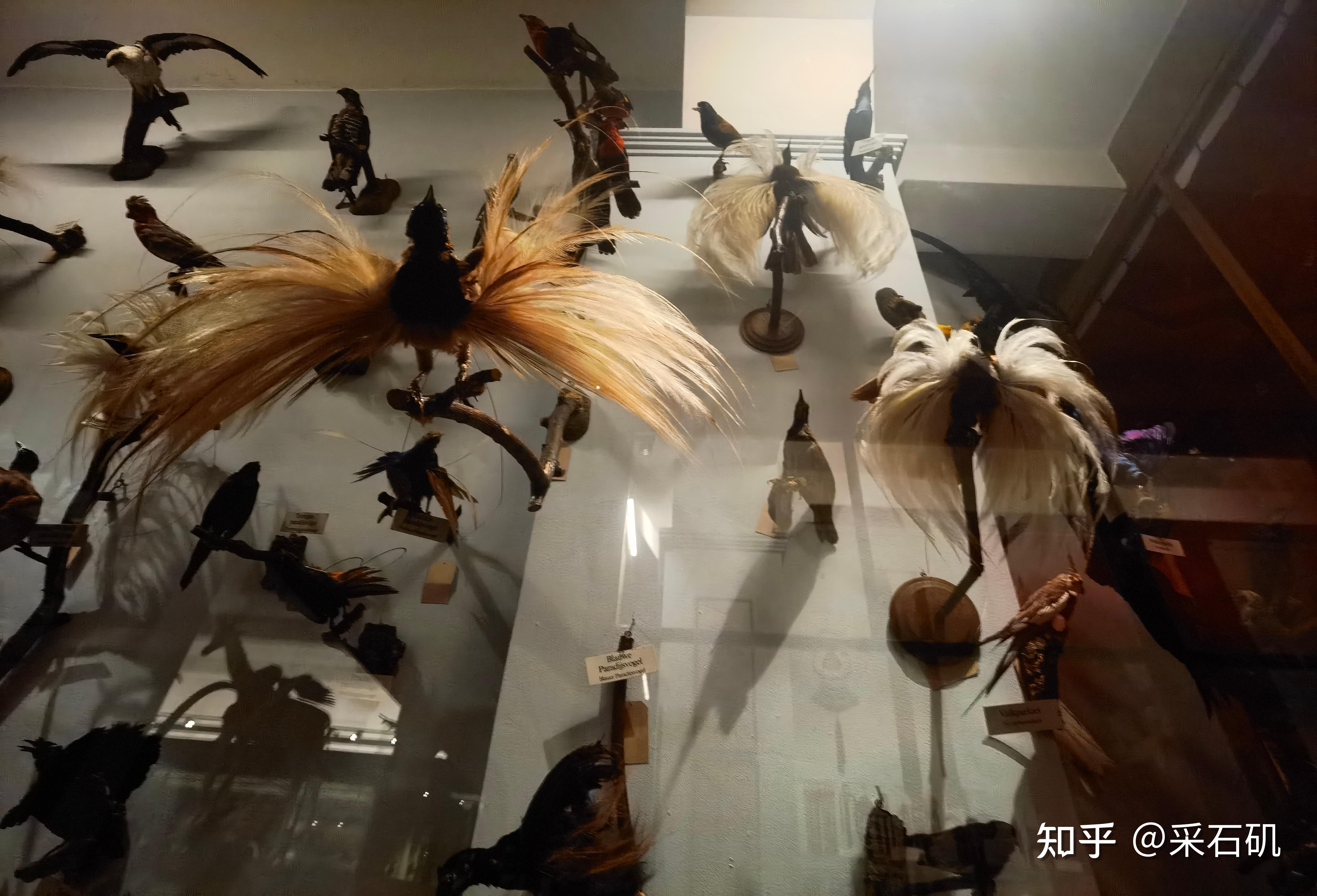 该博物馆主要展示与天主教传教士相关的展品,包括家庭用品,传教士照片