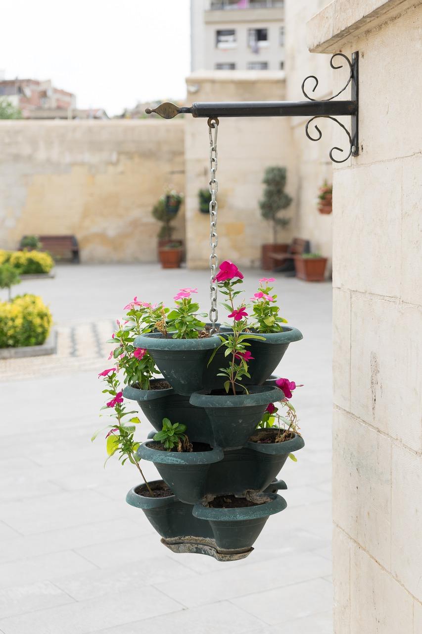 4. 奇幻花界瑰宝