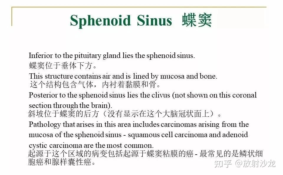 【收藏】蝶鞍及鞍旁区域解剖 - 知乎