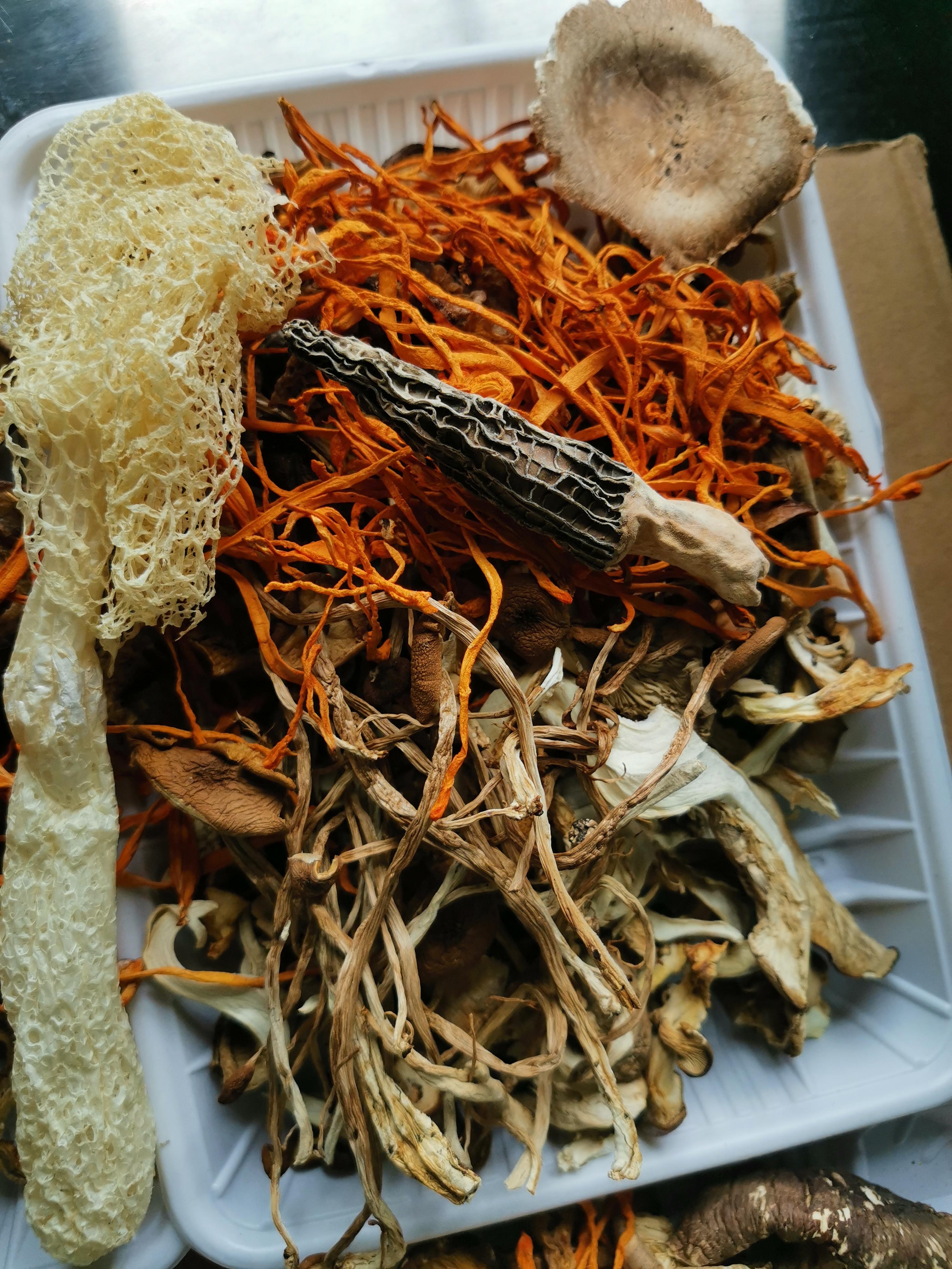 云南美味菌汤包