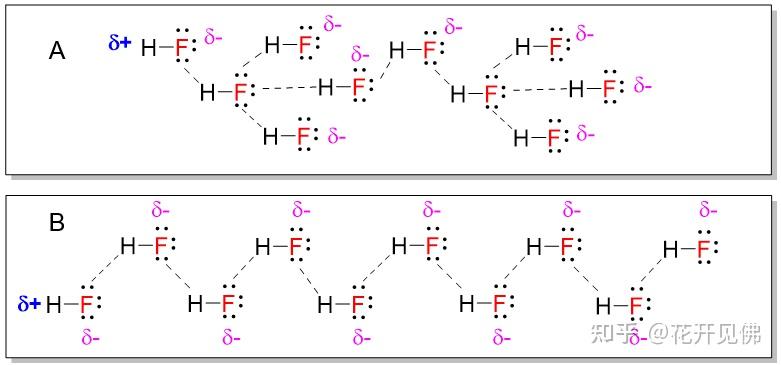为什么水可以形成四个氢键而氢氟酸只能形成两个