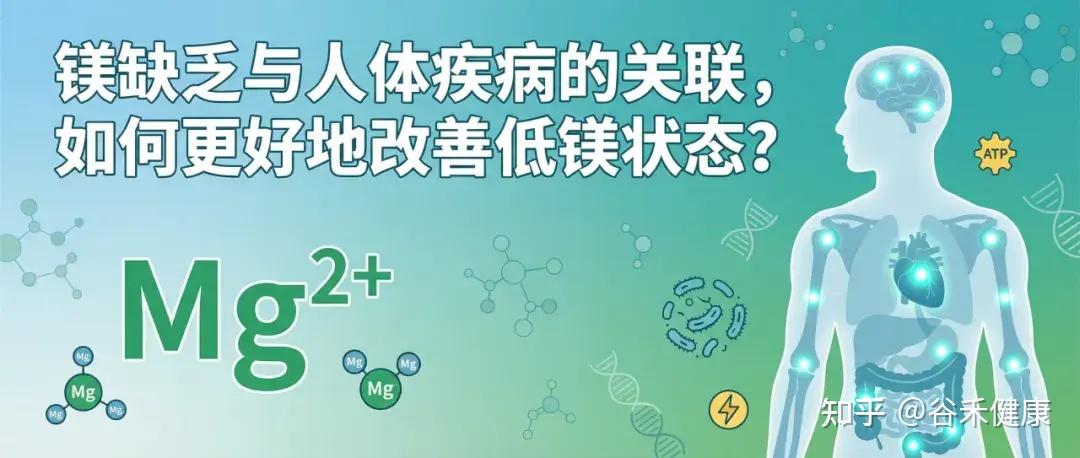 镁缺乏与人体疾病的关联，如何更好地改善低镁状态？ - 知乎