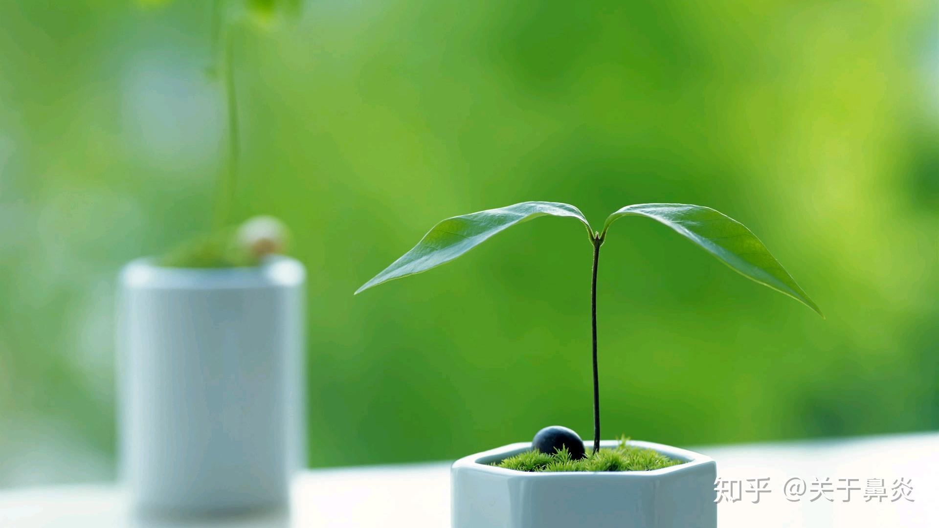 戴口罩走路缺氧头晕眼花有什么办法偷偷呼吸一下么或者减轻呼吸压力