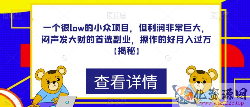 一个很low的小众项目，但利润非常巨大，闷声发大财的首选副业，操作的好月入过万【揭秘】