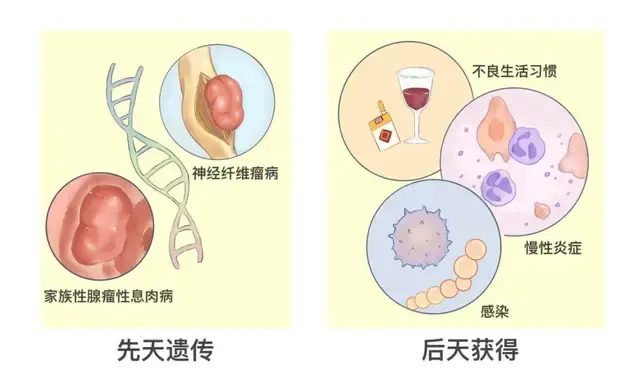 癌症来之前,都会经历“癌前病变”!这几类病,很多人没重视…… - 知乎