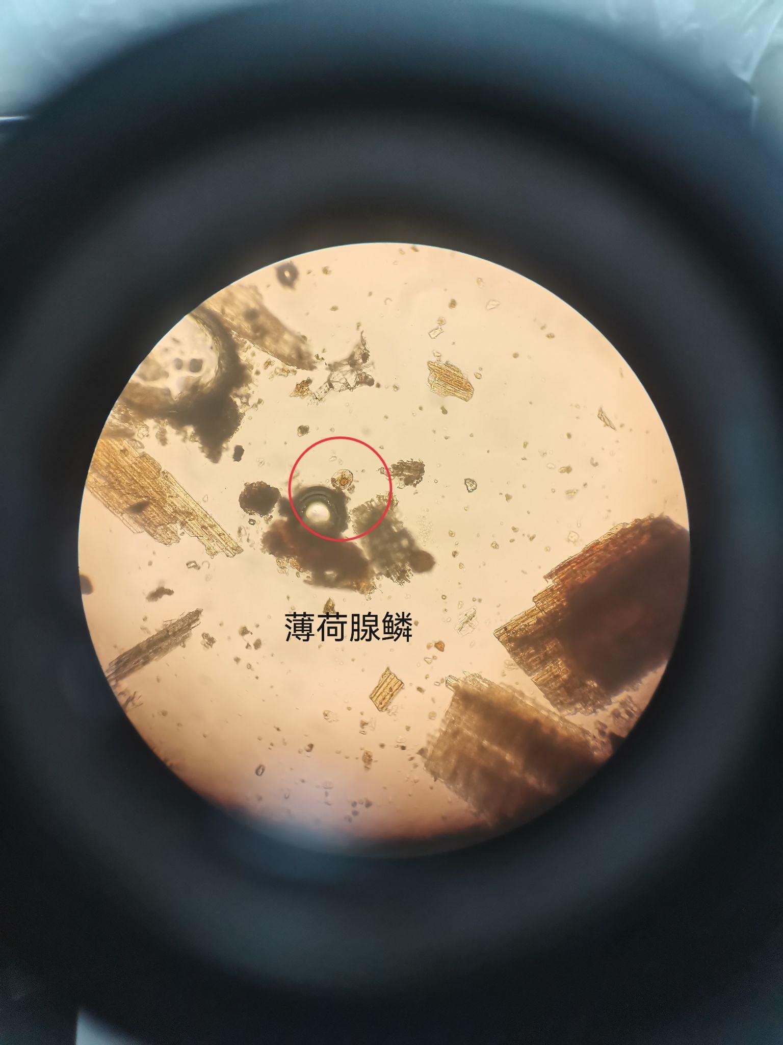 如果你手机里的第11张照片是你的前世,你有什么感受? - 知乎