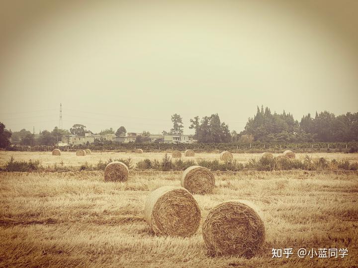 人，可以废物到什么程度？