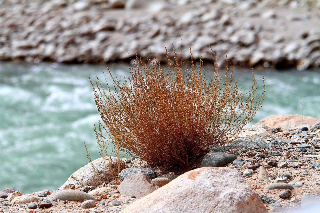 5. 湖山境最新报价