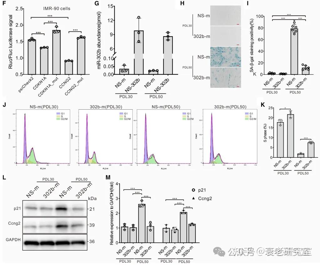 Cell Metabolism揭示: 外泌体 miR-302b 可逆转衰老细胞的增殖停滞,使衰老小鼠恢复青春! - 知乎