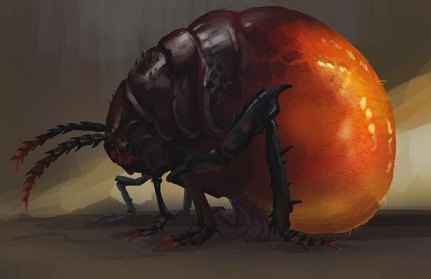 酒虫是什么?人的身体里真的有酒虫吗?