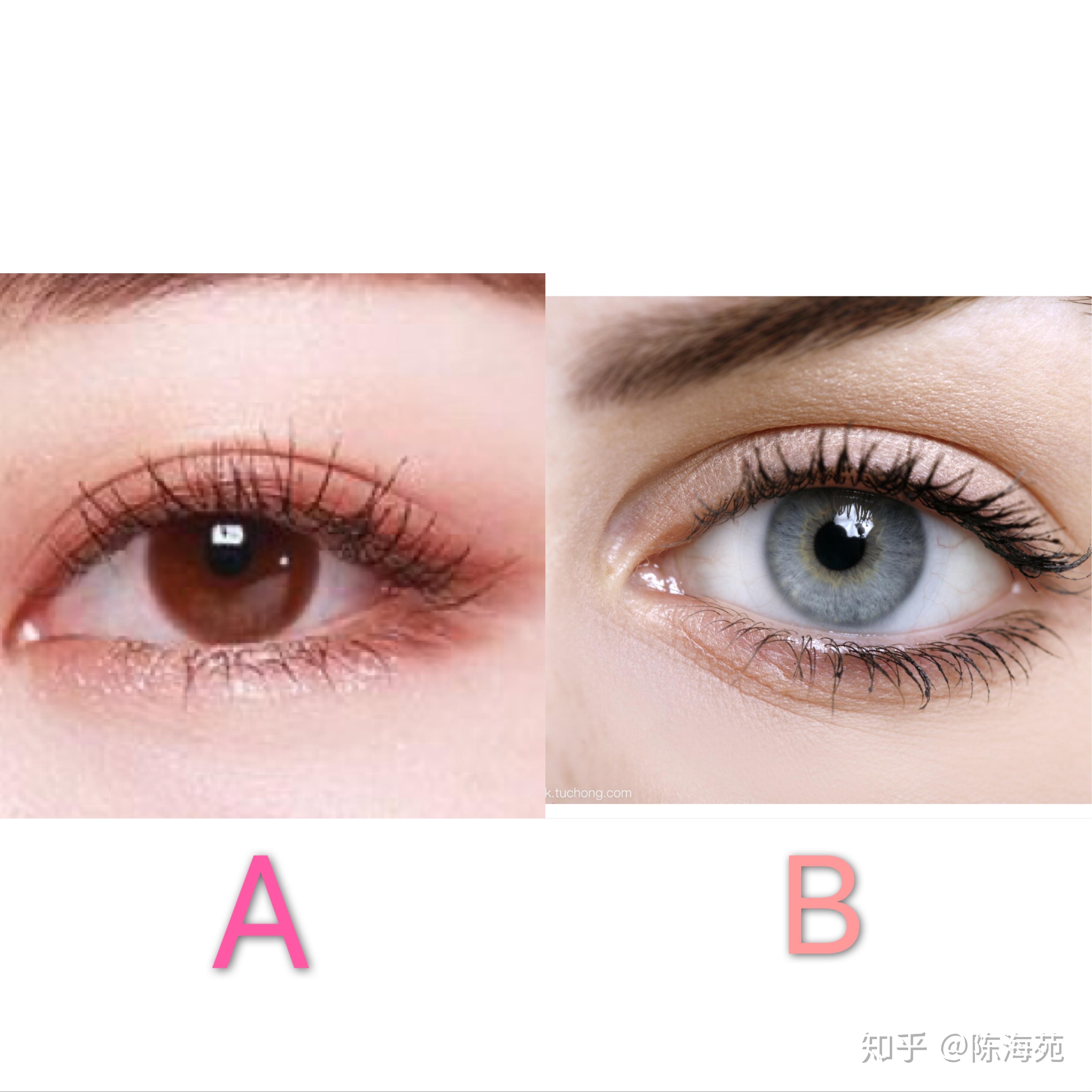 冷白皮和暖白皮怎么区别呀? - 知乎