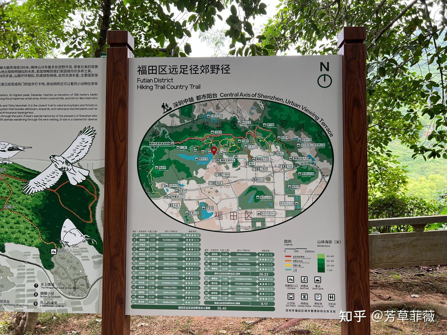 2025周末深圳好去处，深圳绿道徒步（持续更新中~） - 知乎