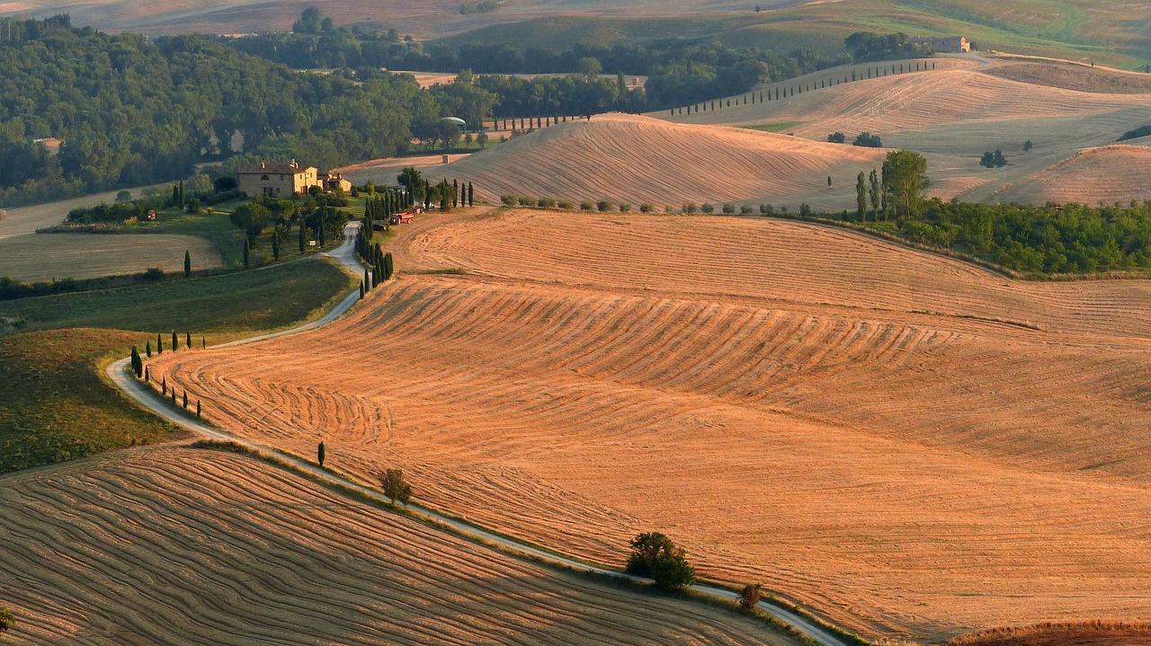 2. 山地蔬菜推荐