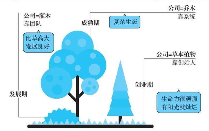 底层逻辑之洞察本质就是打比方 - 知乎