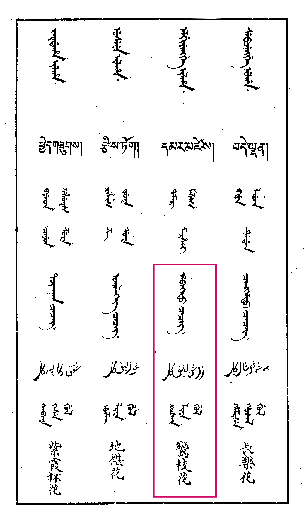 蒙语额勒伯特其其格是什么意思