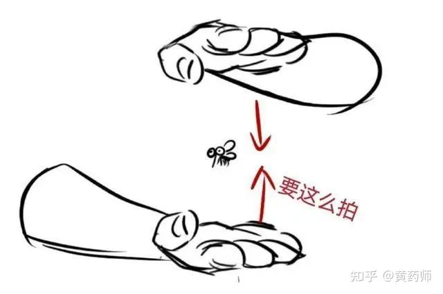 为什么蚊子苍蝇蝴蝶比蛾蠓米蛾象甲难打中多了是被人类几千年来筛打