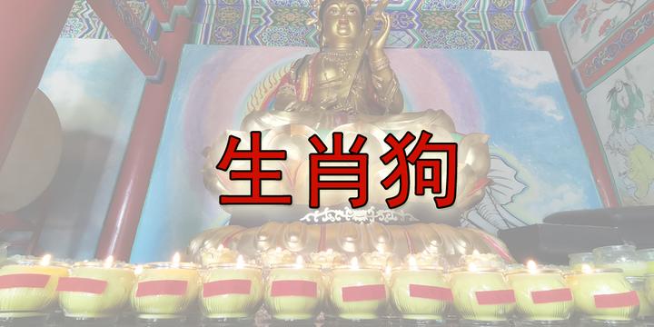 生肖狗22年12月运势(生肖狗2021年12月运势)